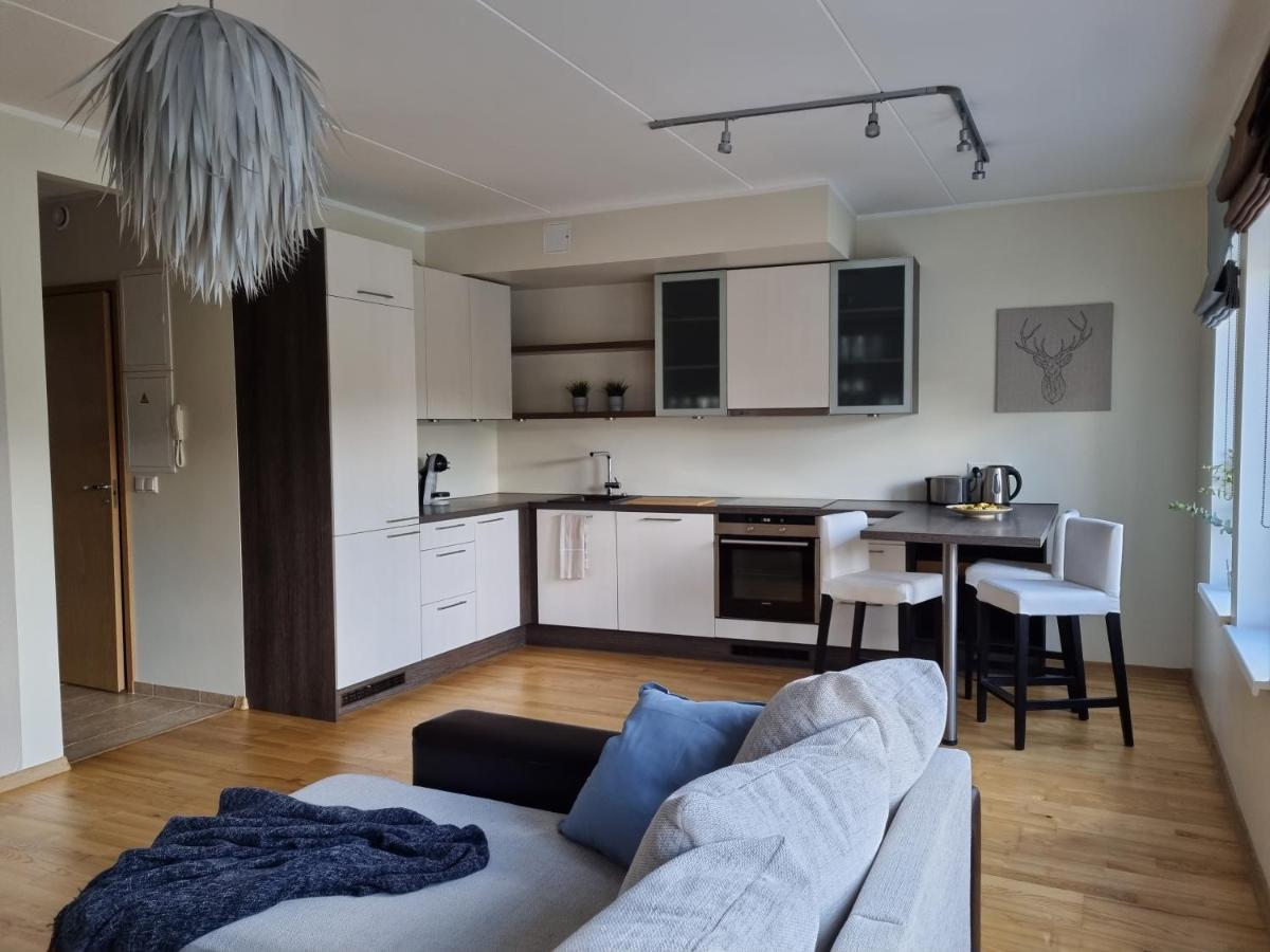 R63 Apartment With Terrace Тарту Екстер'єр фото